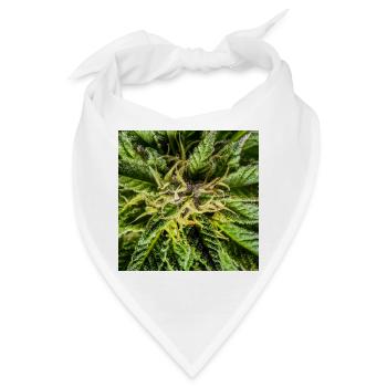Cannabis Blüten, Marihuana, es grünt so grün - Bandana - Weiß - Vorne