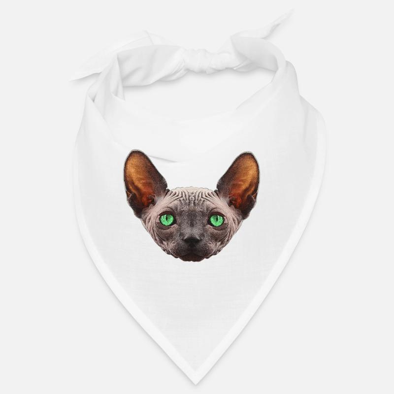 nacktkatze, sphings katze Bandana