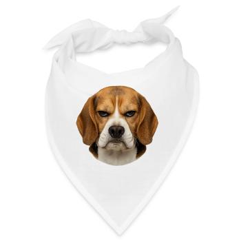 Beagle-Porträt mit ernster Mimik - Bandana - Weiß - Vorne