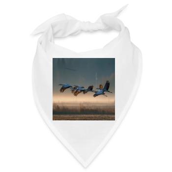 Graue Kraniche Morgennebel Zugvögel Golden Light - Bandana - Weiß - Vorne