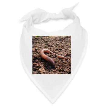 Regenwürmer im Boden - Bandana - Weiß - Vorne