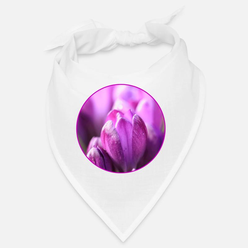Crocus Crocus Fleurs violettes Crocus Bourgeon de crocus Bandana