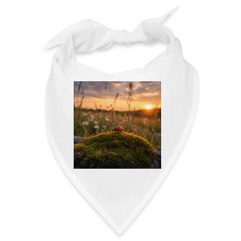 Marienkäfer im Sonnenuntergang und im Moos - Bandana - Weiß - Vorne