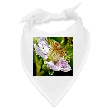 Botanische Eleganz Brombeerblüte Makro - Bandana - Weiß - Vorne