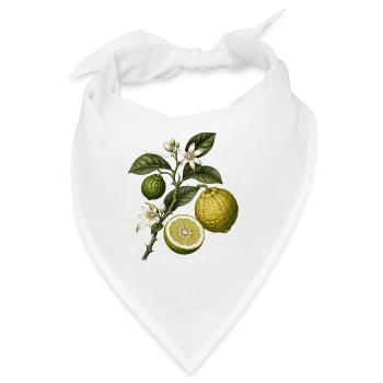Vintage-botanische Zitrusfrüchte – Citrus bergamia - Bandana - Weiß - Vorne