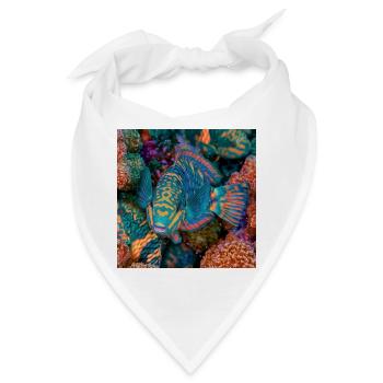 Meeresregenbogenpapageienfisch - Bandana - Weiß - Vorne