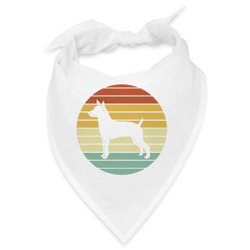 Rat Terrier - Bandana - Weiß - Vorne