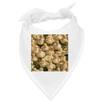 Gelbe Entenküken auf Gras - Bandana - Weiß - Vorne