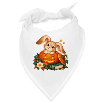 Festliches Kaninchen zwischen Kürbis und Buch - Bandana - Weiß - Vorne