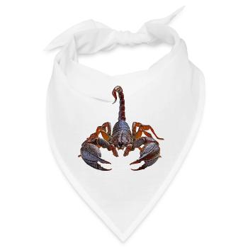 Skorpion - Bandana - Weiß - Vorne