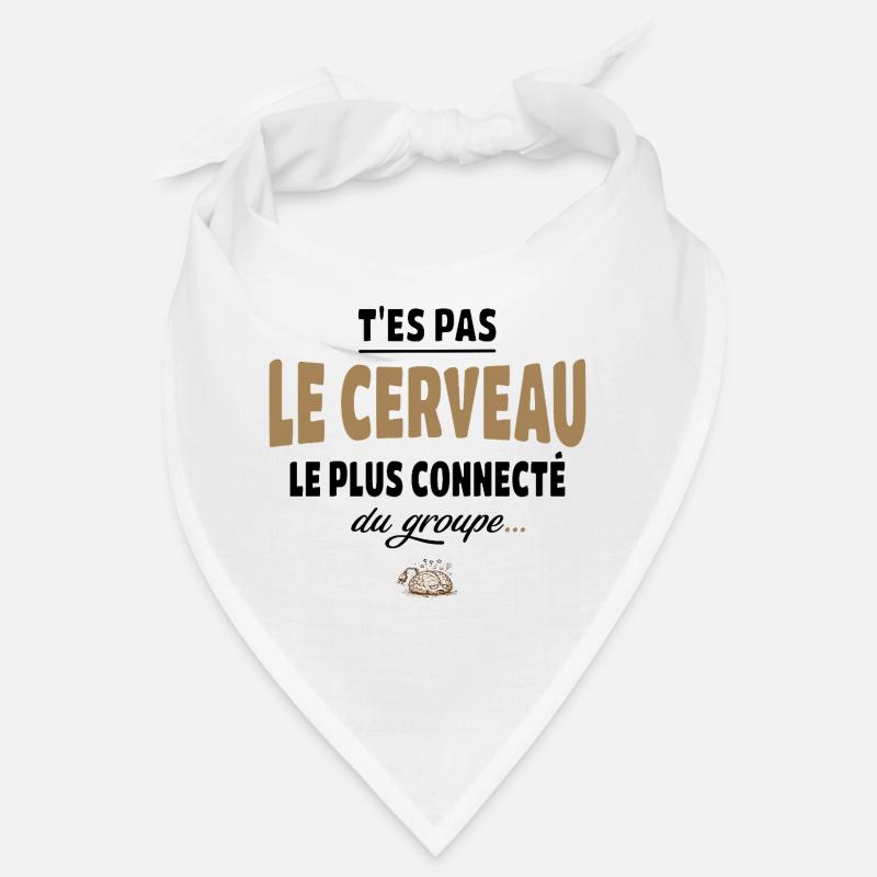 T’es pas le cerveau le plus connecté du groupe Bandana