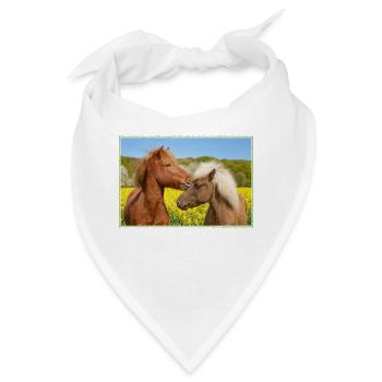 Zwei Islandpferde schmusen in einer Frühlingswiese - Bandana - Weiß - Vorne