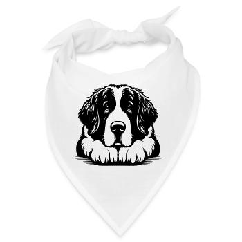 Landseer - Bandana - Weiß - Vorne