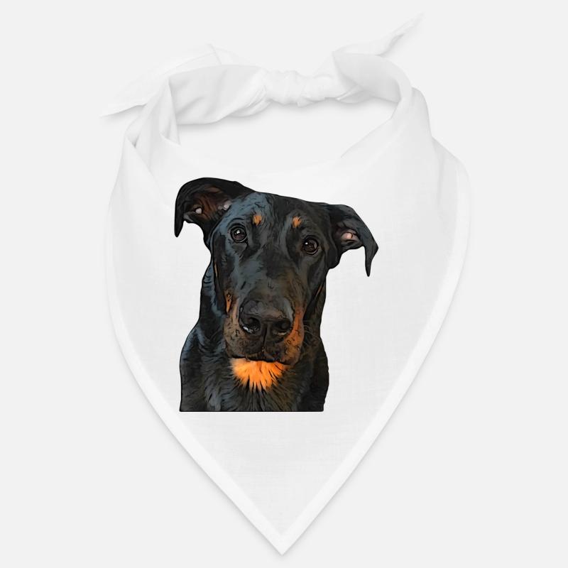 Blick auf den Beauceron Bandana