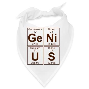 Ge-Ni-U-S (genius) - BIG - Bandana - Weiß - Vorne