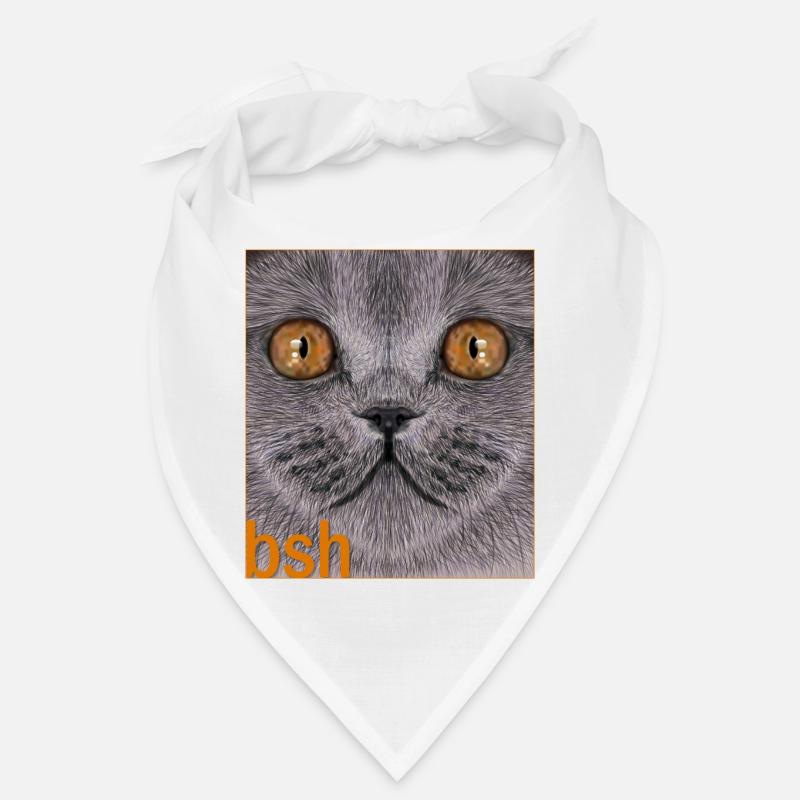 Britisch-Kurzhaar-Katze Bandana