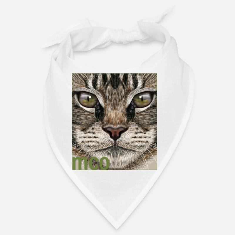 Chat Maine Coon Bandana