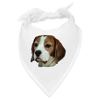 Hund,Hundekopf,Hunde,Beagel,Rassehund,Hundeliebe - Bandana - Weiß - Vorne