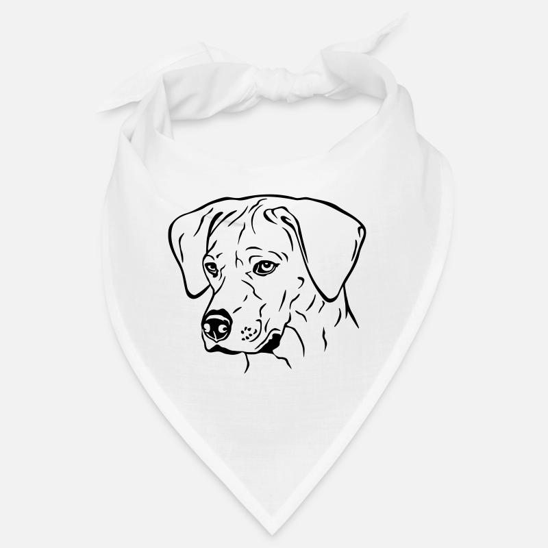 Rhodesian Ridgeback Hündin Kopf schwarz Bandana