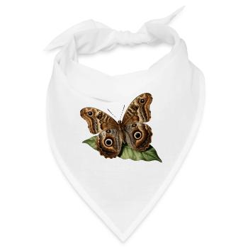 Caligo eurilochus — Naturalistischer Eulenschmetterling - Bandana - Weiß - Vorne