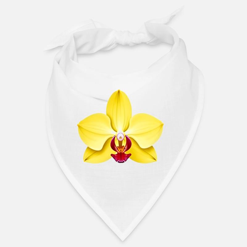 Orchidee Bandana