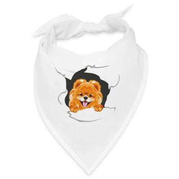 Lächelnder Pommerscher Hund guckt durch zerrissenes Papier - Bandana - Weiß - Vorne