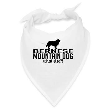 BERNESE MOUNTAIN DOG what else - Bandana - Weiß - Vorne