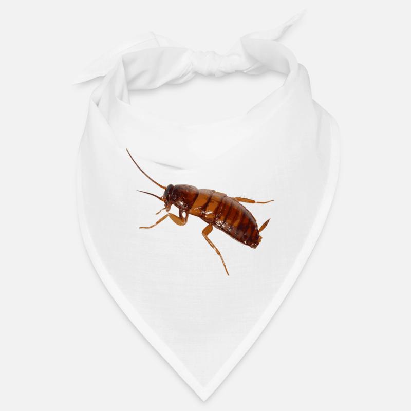 Cafard insecte cafard cafard Bandana