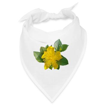 Karrie /Japanisches Goldröschen - Bandana - Weiß - Vorne