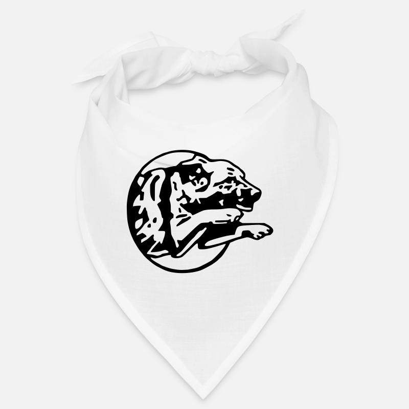 jump 1 ba Bandana