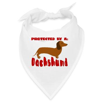 Dackel / Dachshund: Protected by a Dachshund - Bandana - Weiß - Vorne