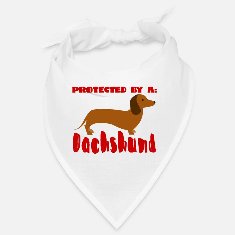 Dackel / Dachshund: Protected by a Dachshund Bandana