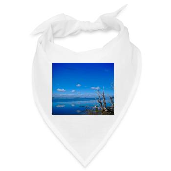 Die Harvey-Mündung - Platz - Bandana - Weiß - Vorne