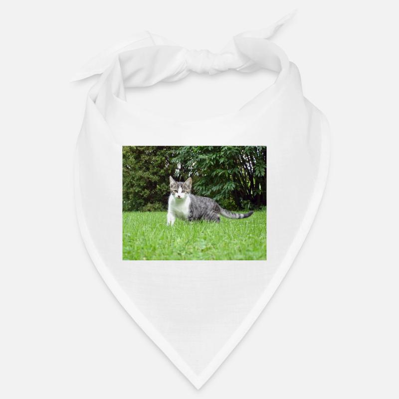 Curious kitten - Bandana - white