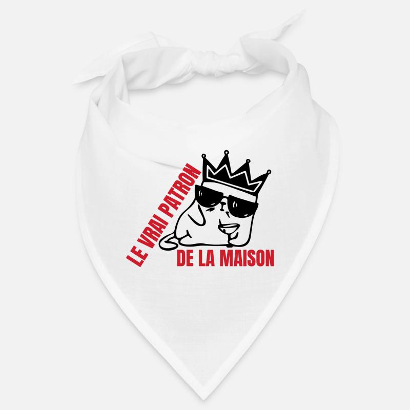 Le vrai patron de la maison chat Bandana