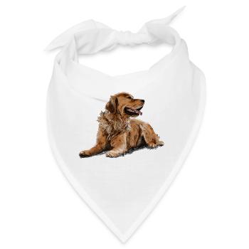 Golden Retriever - Bandana - Weiß - Vorne
