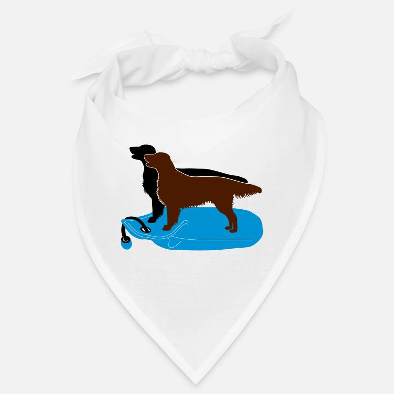 2 Flat Coated Retriever auf Dummy Bandana