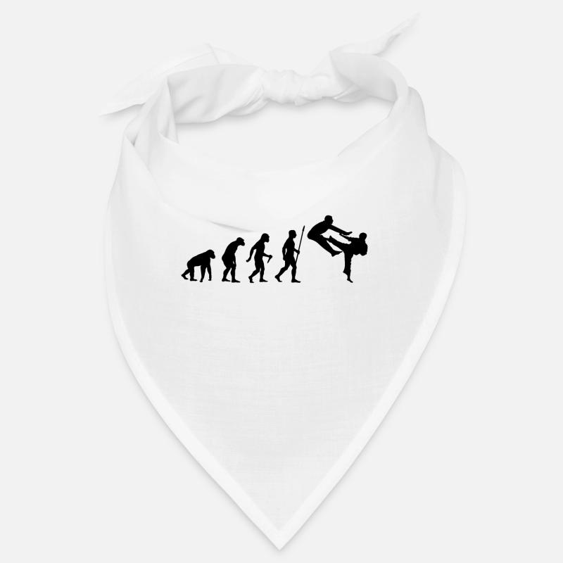 Évolution du karaté Bandana