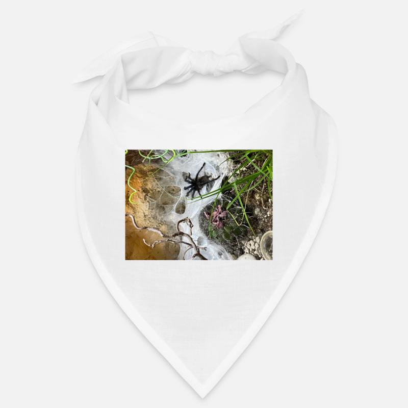 Tarentule sur le web Bandana