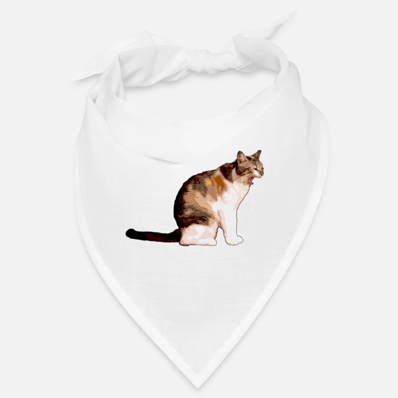 le chat Bandana