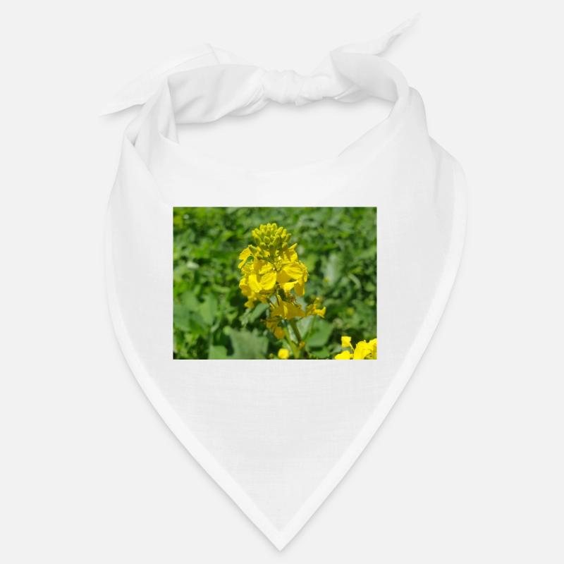 Schwarzer Senf Bandana