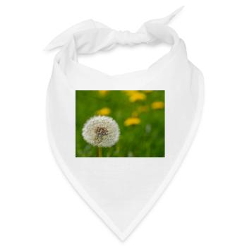 Loewenzahn - Bandana - Weiß - Vorne