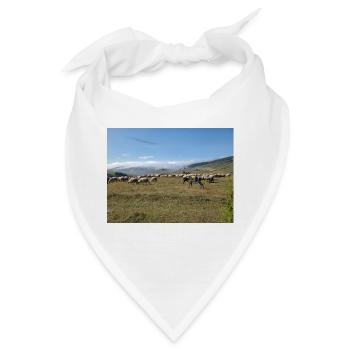 Schafe, Esel, Berge, Wiesen - Bandana - Weiß - Vorne