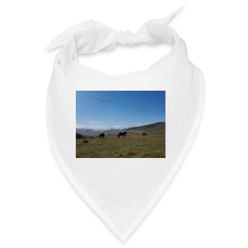 Esel, Berge, Wiesen - Bandana - Weiß - Vorne