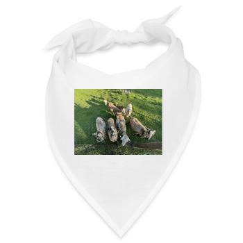 Was ne Herde - Bandana - Weiß - Vorne