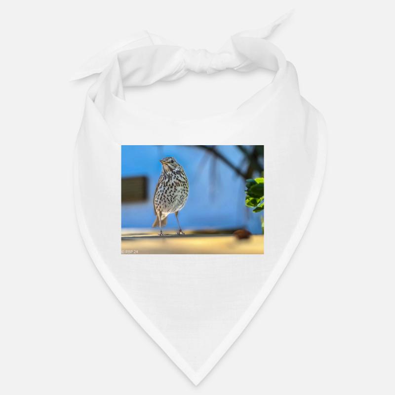 3C6DAC94 2483 48C8 B3C0 C91D9BD6FBB1 Bandana