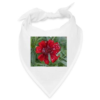 Rote Kleinblattblüte, bedeckt mit Wassertropfen, - Bandana - Weiß - Vorne