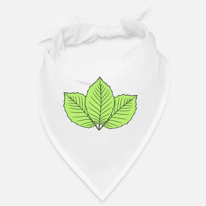 3 feuilles de hêtre feuille arbre forme de plante clipart d Bandana