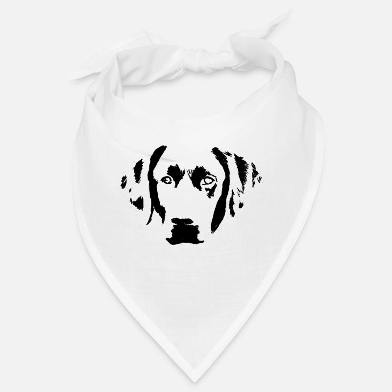 Junger Labrador Retriever in der Frontansicht Bandana