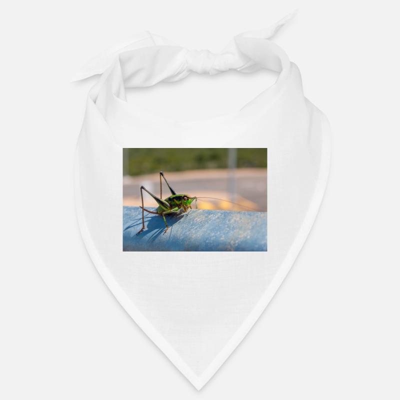 Eupholidoptera Eupholidoptera chabrieri Bandana
